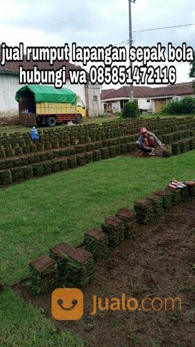 Harga rumput lapangan sepakbola Kota Palangkaraya termurah
