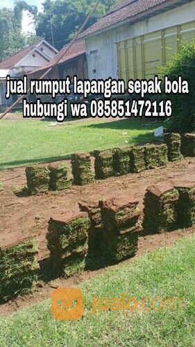 Harga rumput lapangan sepakbola Kota Palangkaraya termurah