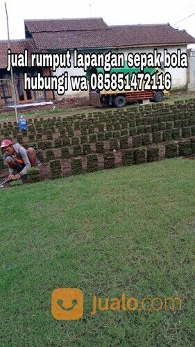 Harga rumput lapangan sepakbola Kota Palangkaraya termurah