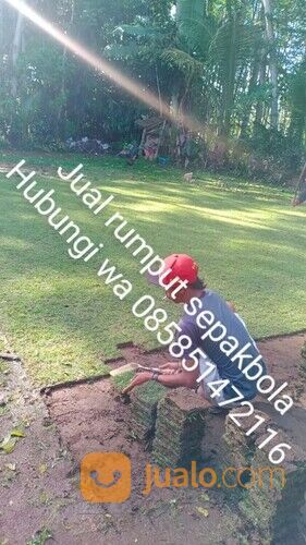 Harga rumput lapangan sepakbola Kota Palangkaraya termurah