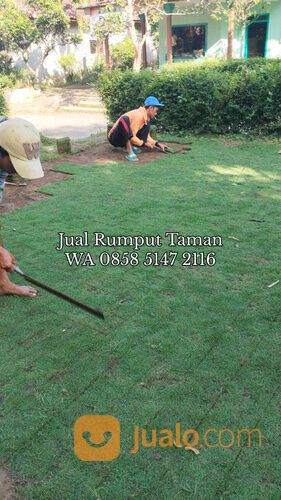 Rumput lapangan sepakbola Kota Banjarbaru kwalitas terbaik