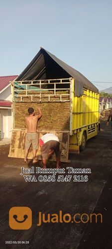 Rumput lapangan sepakbola Kota Banjarbaru kwalitas terbaik