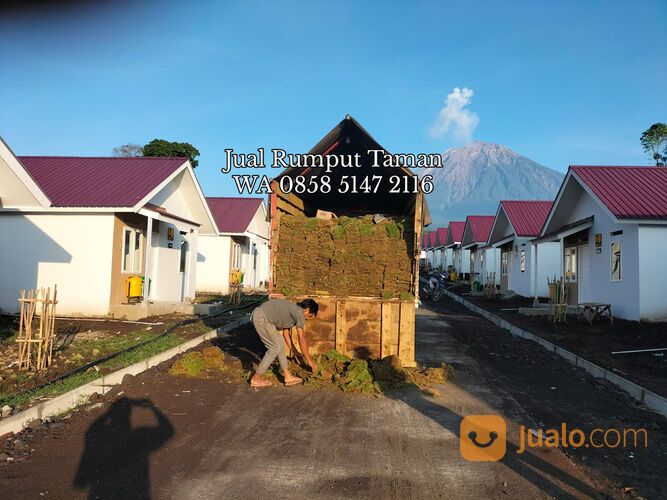 Rumput lapangan sepakbola Kota Banjarbaru kwalitas terbaik