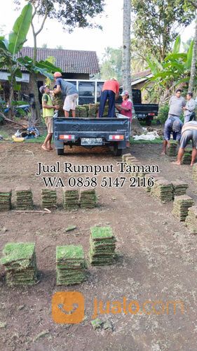 Rumput lapangan sepakbola Kota Banjarbaru kwalitas terbaik