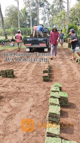 Rumput lapangan sepakbola Kota Banjarbaru kwalitas terbaik