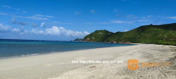 Tanah Pasir Putih diTepi Pantai Torok Lombok - NTB