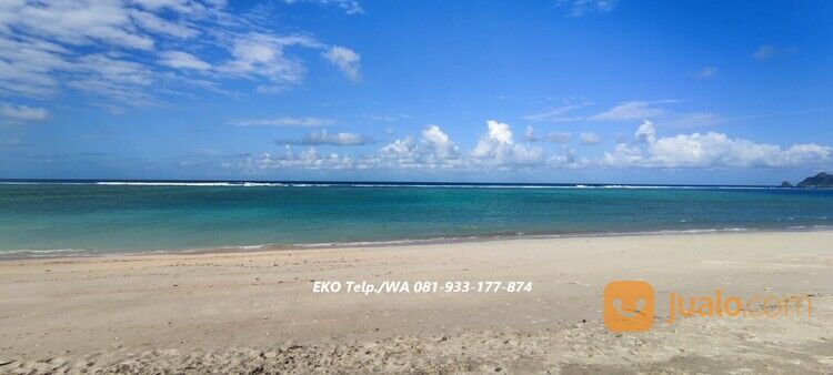 Tanah Pasir Putih diTepi Pantai Torok Lombok - NTB