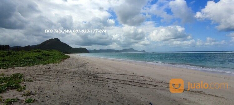 Tanah Pasir Putih diTepi Pantai Torok Lombok - NTB