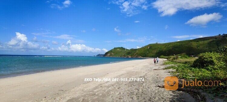 Tanah Pasir Putih diTepi Pantai Torok Lombok - NTB