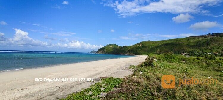 Tanah Pasir Putih diTepi Pantai Torok Lombok - NTB