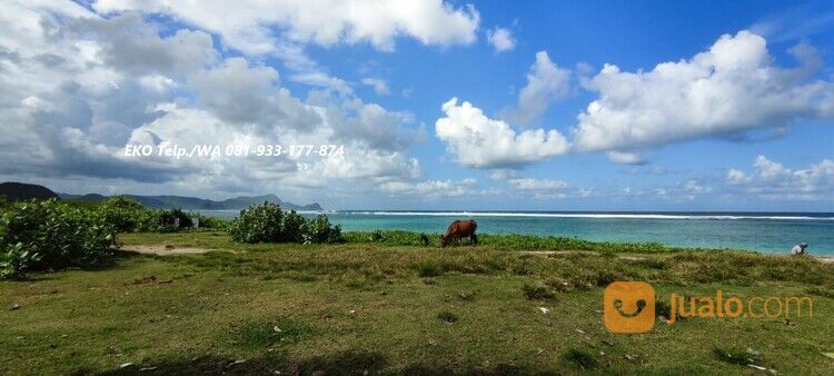 Tanah Pasir Putih diTepi Pantai Torok Lombok - NTB