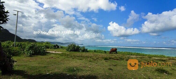 Tanah Pasir Putih diTepi Pantai Torok Lombok - NTB