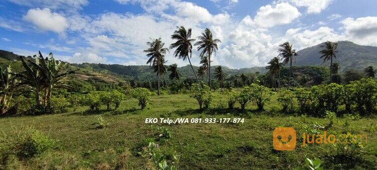 Tanah Pasir Putih diTepi Pantai Torok Lombok - NTB