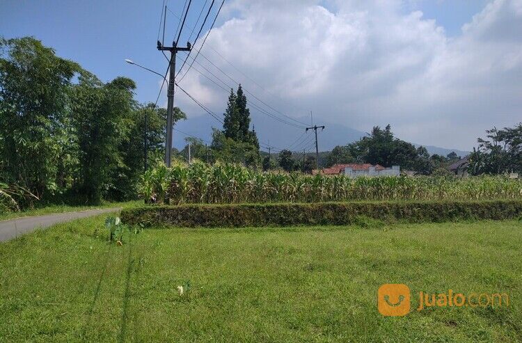 Tanah Kavling Area Cijeruk Bogor Dekat Villa & Guest House Cijeruk