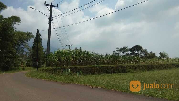 Tanah Kavling Area Cijeruk Bogor Dekat Villa & Guest House Cijeruk