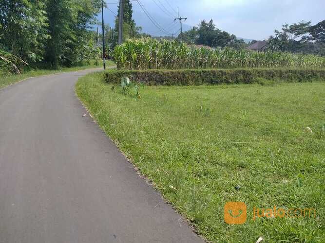 Tanah Kavling Area Cijeruk Bogor Dekat Villa & Guest House Cijeruk