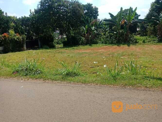Area Perumahan Kayu Manis, Bisa 12X Bayar, Tanah Kayu Manis - Bogor