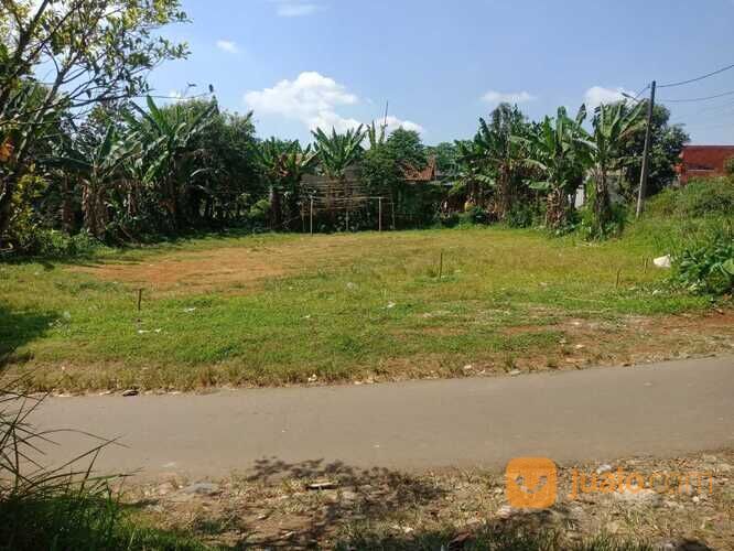 Area Perumahan Kayu Manis, Bisa 12X Bayar, Tanah Kayu Manis - Bogor