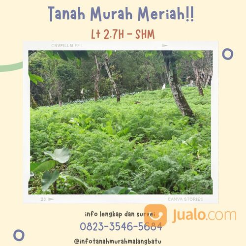 Lahan Kebun Deket Museum Angkut