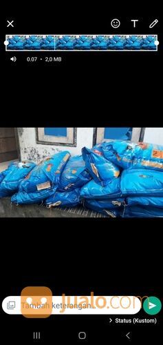 Pakan Ikan Laut Megami