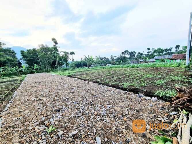 Tanah Kavling Cantik, View Sawah 1 Jt-an /m2 | Area Jalan Jogja-Wates