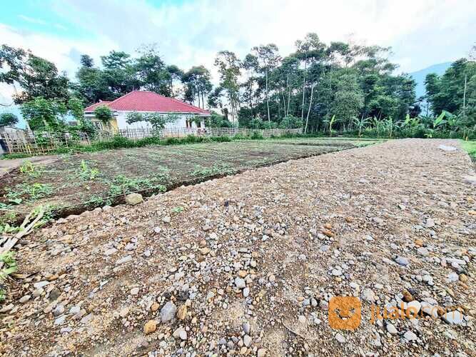 Tanah Kavling Cantik, View Sawah 1 Jt-an /m2 | Area Jalan Jogja-Wates