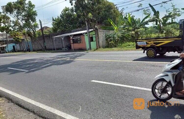 Tanah Luas Cocok Untuk Usaha di Rogojampi Banyuwangi