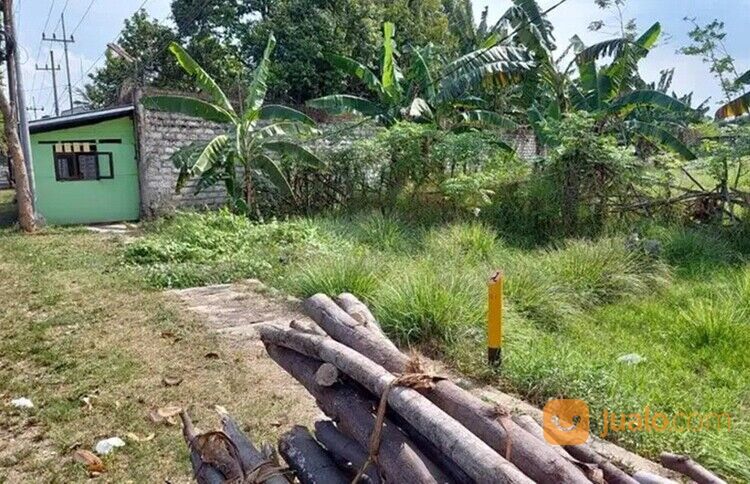 Tanah Luas Cocok Untuk Usaha di Rogojampi Banyuwangi