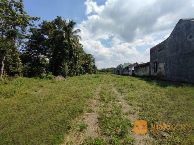 Lahan Perumahan Premium, Jalan Besi Jangkang Sleman: 12 Menit UII