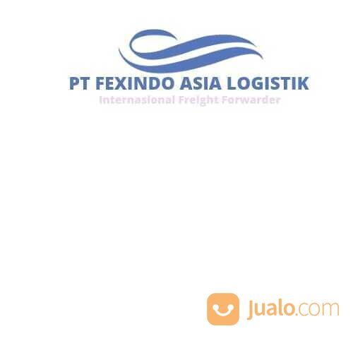 fexindo logistik jasa import