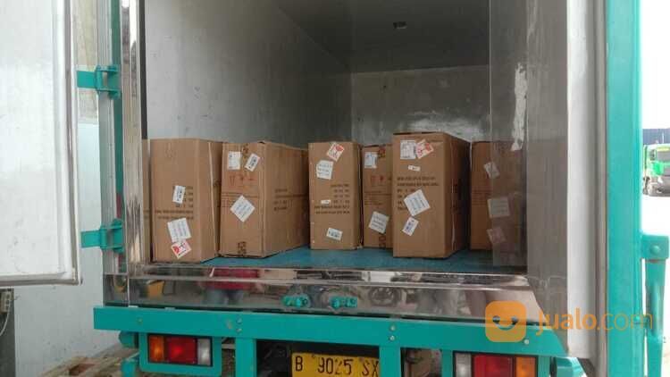 fexindo logistik jasa import