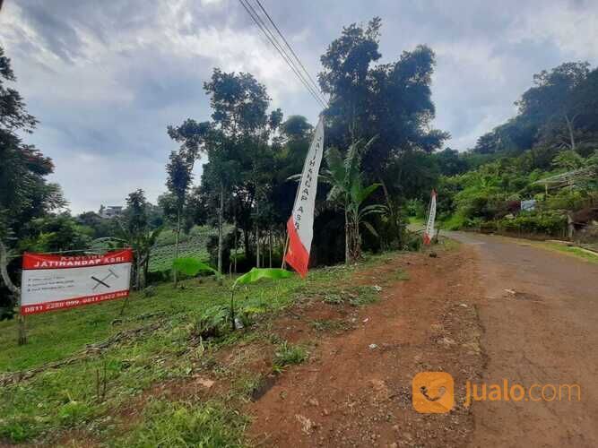 Tanah investasi samping cafe ngopi dikebon Tanah investasi samping cafe ngopi dikebon