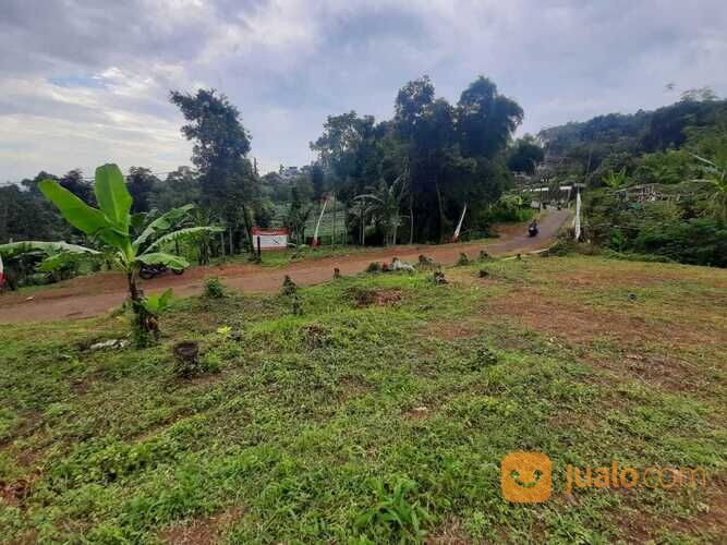 Tanah investasi samping cafe ngopi dikebon Tanah investasi samping cafe ngopi dikebon