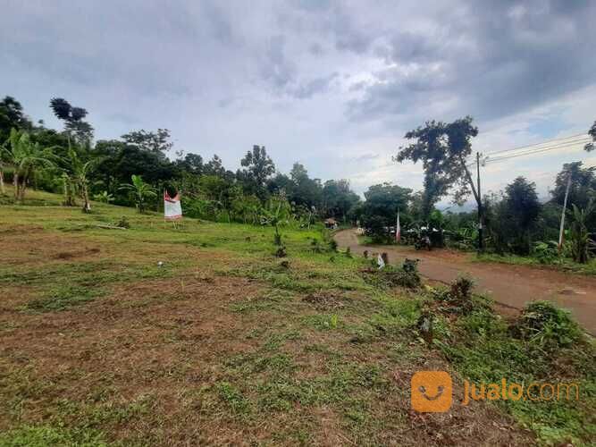 Tanah investasi samping cafe ngopi dikebon Tanah investasi samping cafe ngopi dikebon