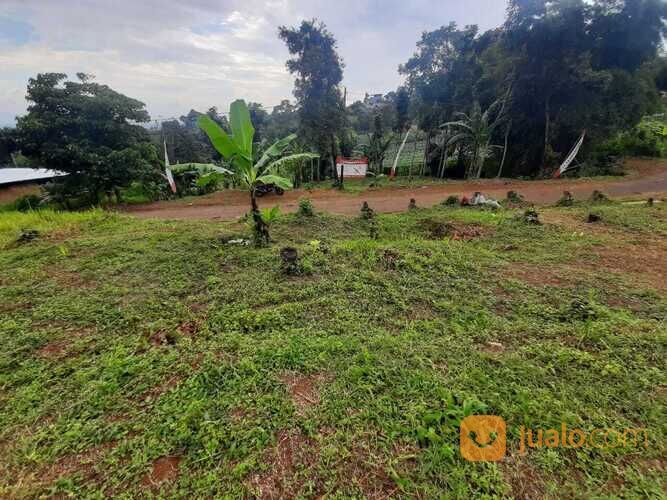 Tanah investasi samping cafe ngopi dikebon Tanah investasi samping cafe ngopi dikebon