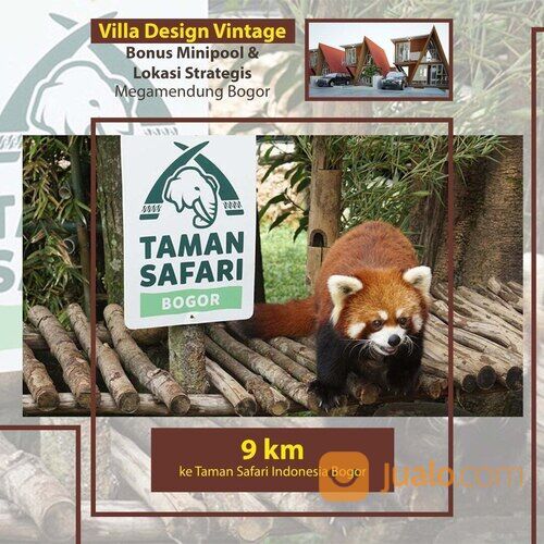 Villa vintage kayu di puncak cisarua Bogor