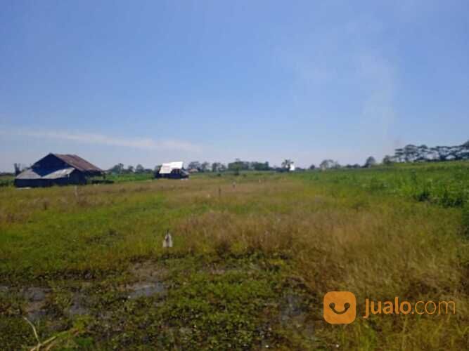 Tanah Pesona Adiwerna Tegal, SHM, 70 Jt-an Cicil 12X