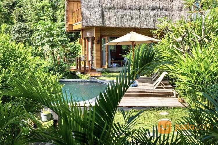 Natural Villa view sawah gunung sungai sidemen karangasem bali near ubud