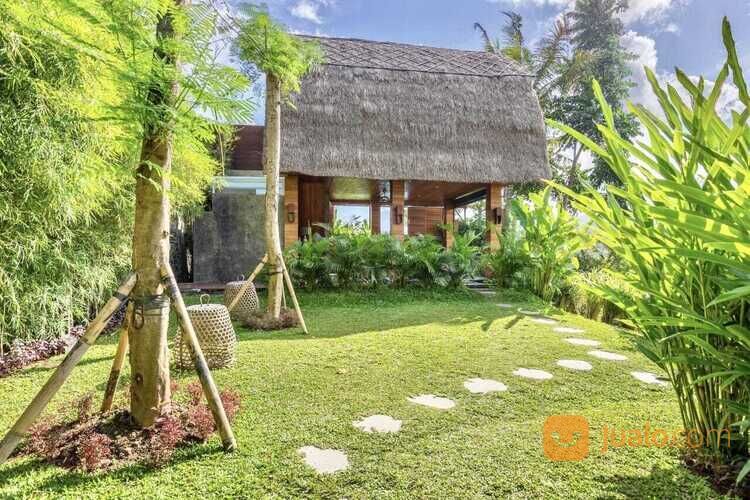 Natural Villa view sawah gunung sungai sidemen karangasem bali near ubud