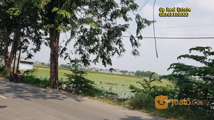 Tanah 3jt/m2 nego LT 155.605 m2 jl. Pasundan Karawang Barat Jawa barat