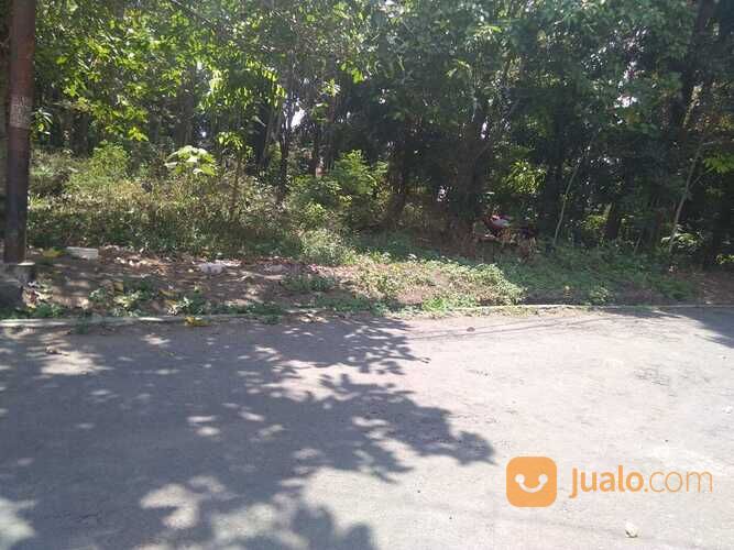Tanah Luas Lokasi Tiyasan Condong Catur, Sleman