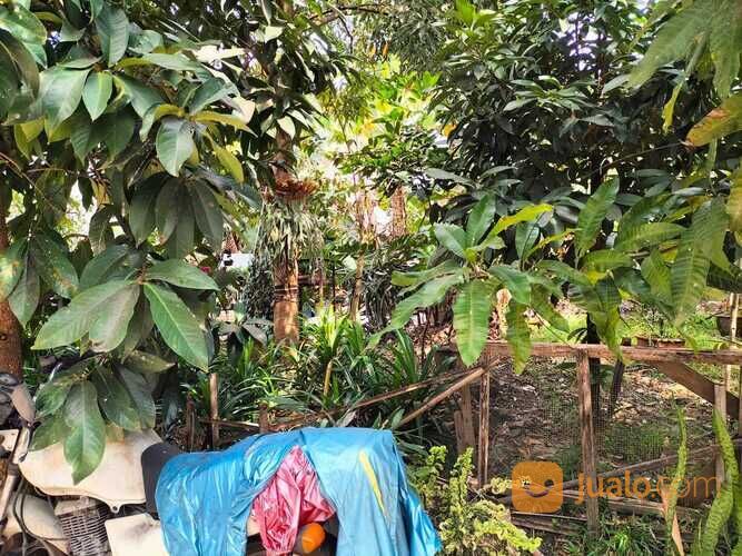 tanah murah komplek griya cempaka arum gedebage