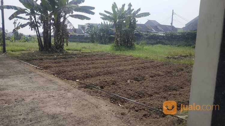 Dalam Perumahan Laladon Indah Baru, Bisa 12X Bayar, Tanah Ciomas-Bogor