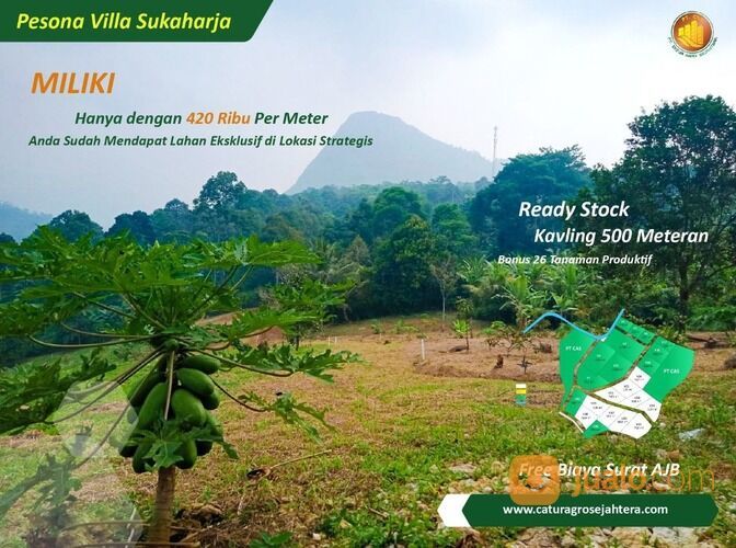 Tanah Kebun Produktif dengan View Pemandangan Gunung Pancaniti Bogor