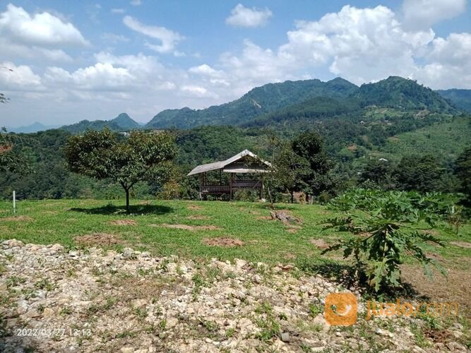 Tanah Kebun Produktif dengan View Pemandangan Gunung Pancaniti Bogor