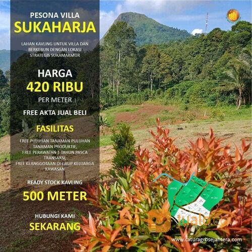 Tanah Kebun Produktif dengan View Pemandangan Gunung Pancaniti Bogor