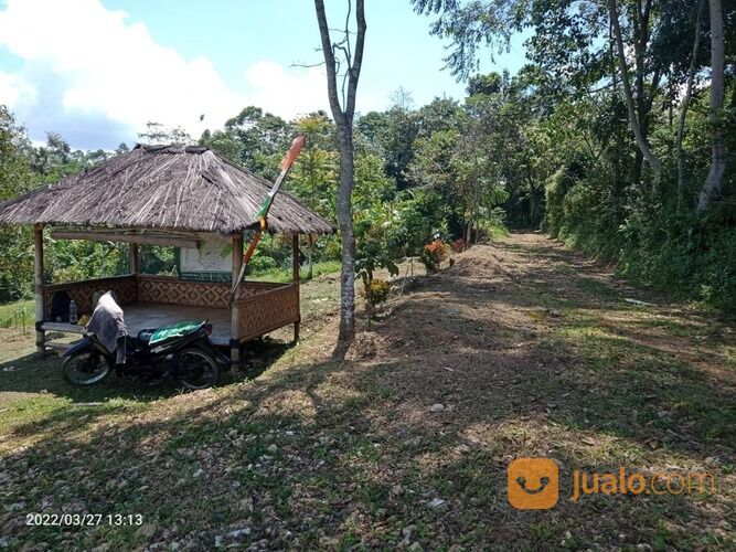 Tanah Kebun Produktif dengan View Pemandangan Gunung Pancaniti Bogor