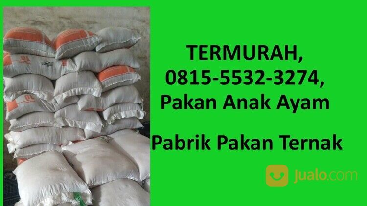 SIAP KIRIM BERAPAPUN, 0815-5532-3274, Perusahaan Pakan Ternak