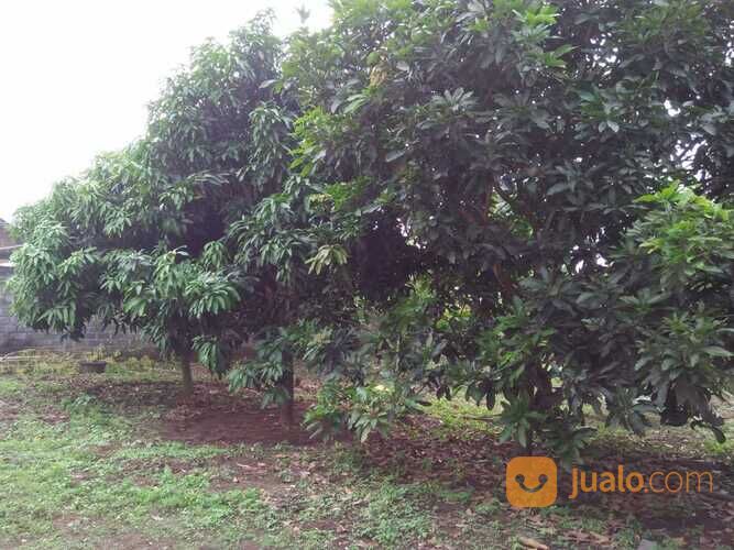 RUMAH SIAP HUNI LOKASI STRATEGIS DI LODOYO BLITAR