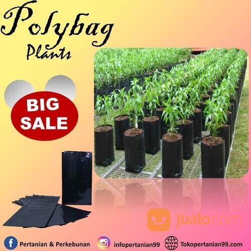 Polybag KW Super Harga Murah